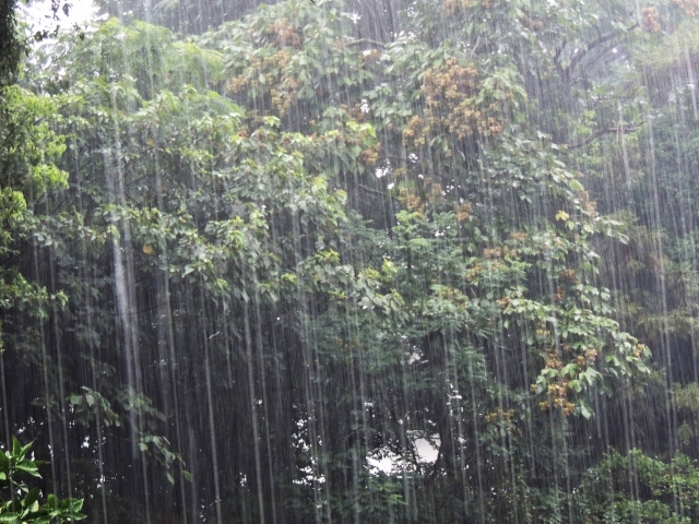【ゴルフの悩み】雨の日の様々な打ち方とコースマネジメント